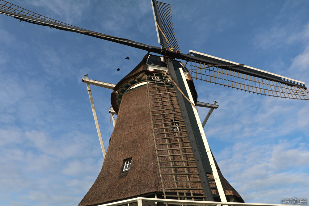 Medemblik