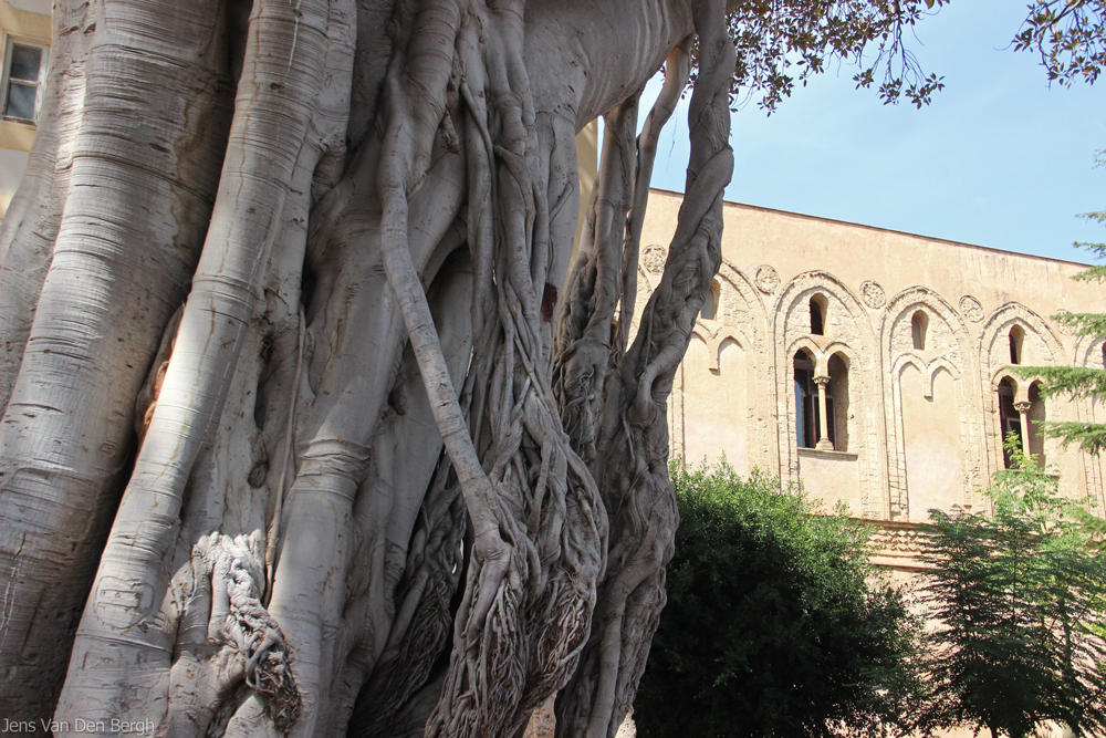 Photography, Sicilia, Palermo