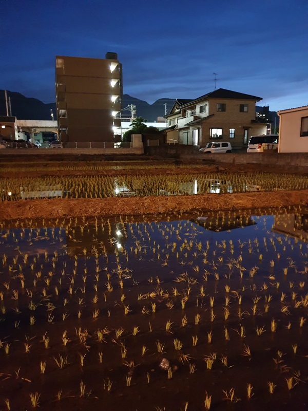 Kyushu Fukuoka Beppu Usuki 