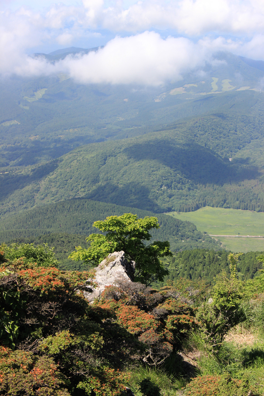 Kyushu Fukuoka Beppu Usuki 