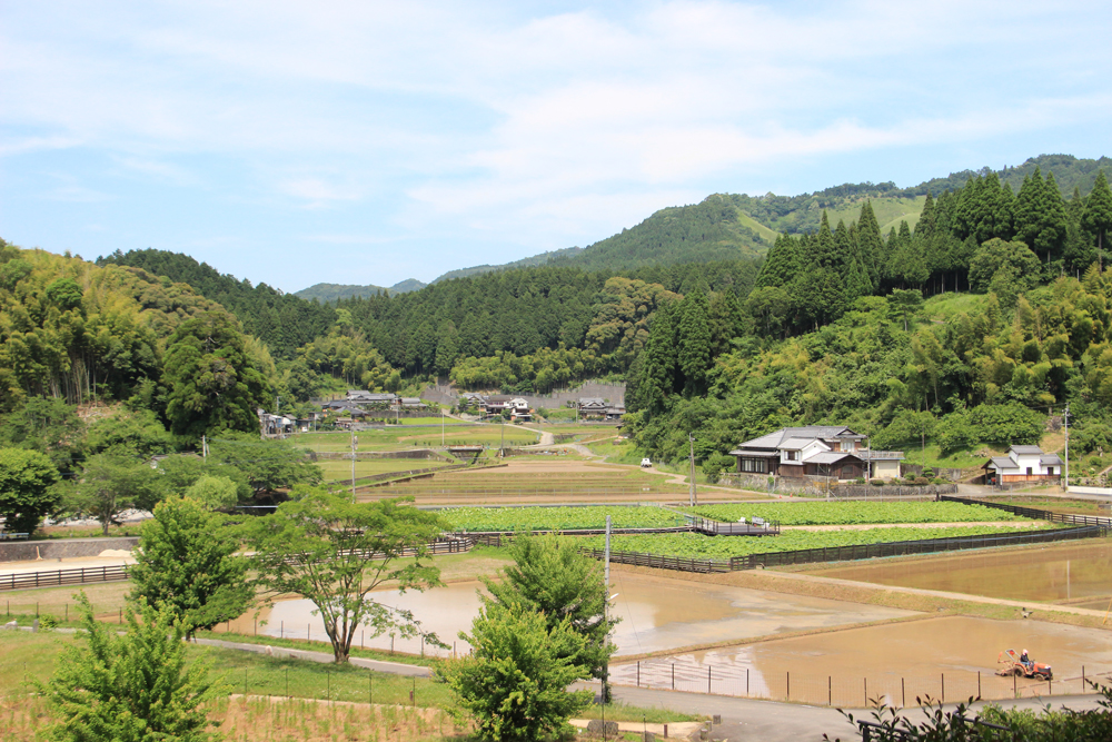 Kyushu Fukuoka Beppu Usuki 