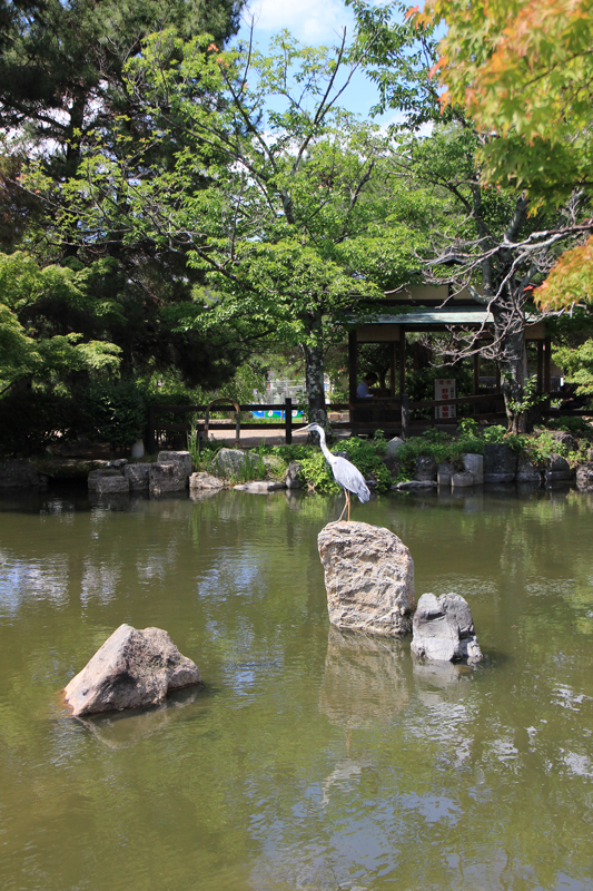 Kyoto