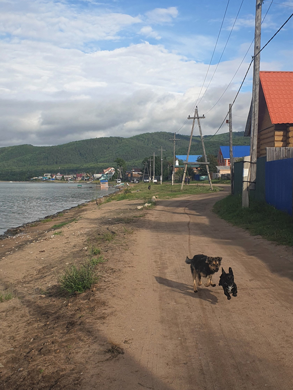 Photography, Baikalmeer, by Kens Van Den Bergh