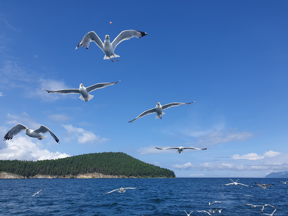 Photography, Baikalmeer, by Kens Van Den Bergh