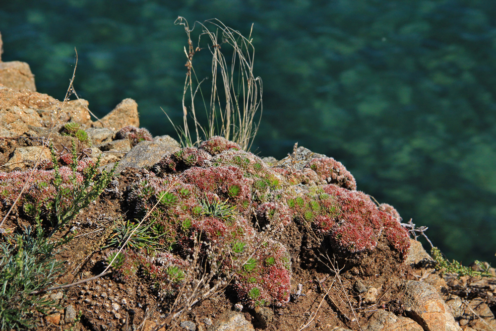 Photography, Baikalmeer, by Kens Van Den Bergh