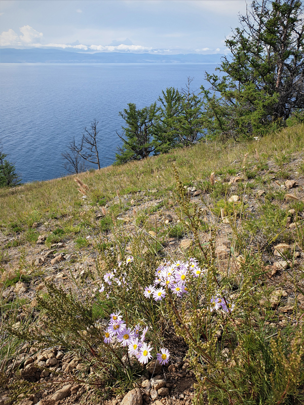 Photography, Baikalmeer, by Kens Van Den Bergh