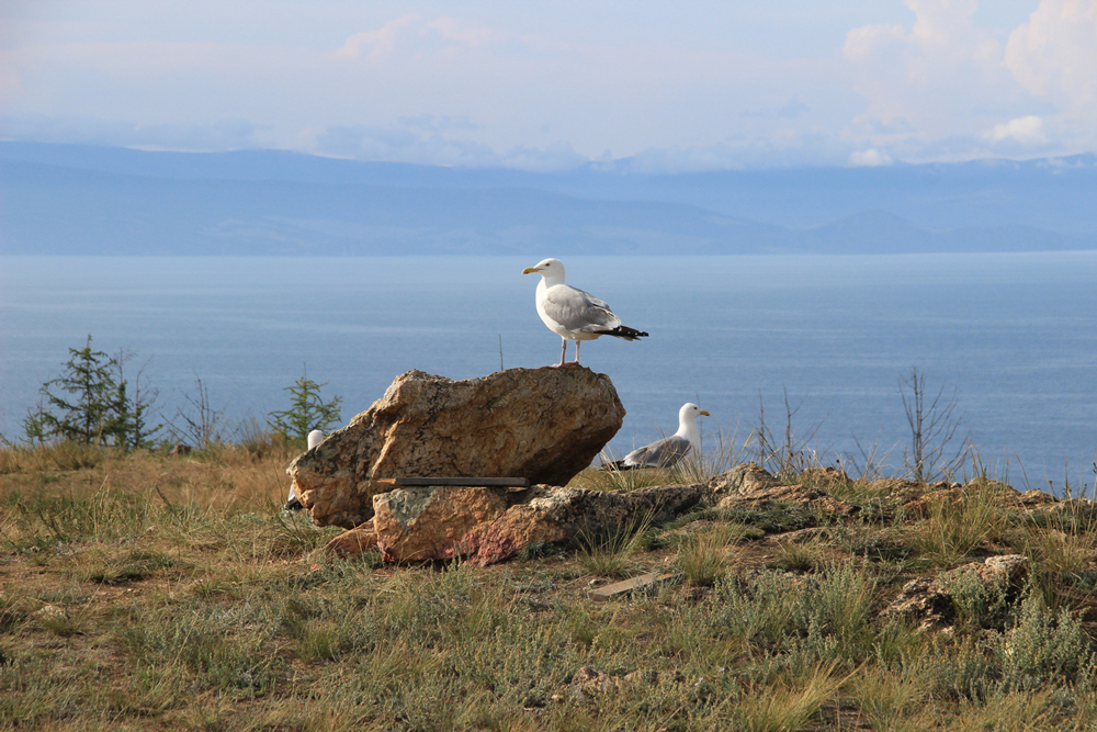 Photography, Baikalmeer, by Kens Van Den Bergh