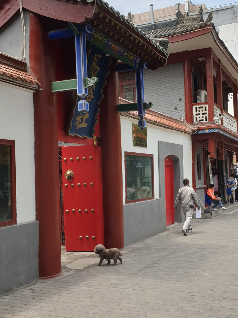 Jens Van Den Bergh, deel 1 Xi'an