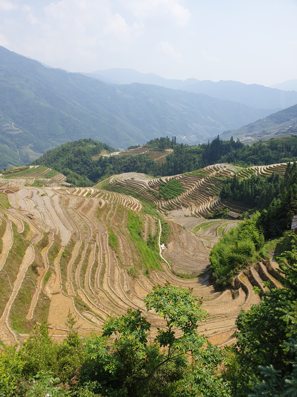 Fotografie: China, deel 3, Jens Van Den Bergh, Guangxi