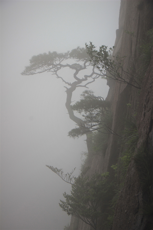 Fotografie: China, Jens Van Den Bergh, Deel 4 Huangshan & de Gele Bergen in Anhui