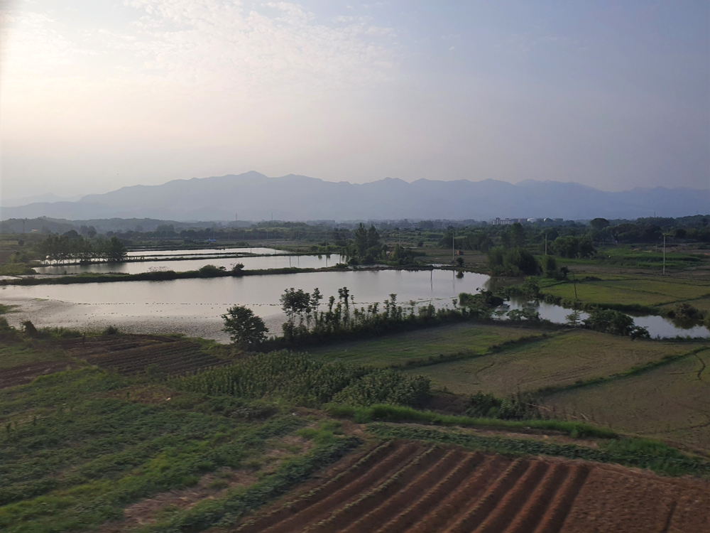 Fotografie: China, Jens Van Den Bergh, Deel 5 Hangzhou 
