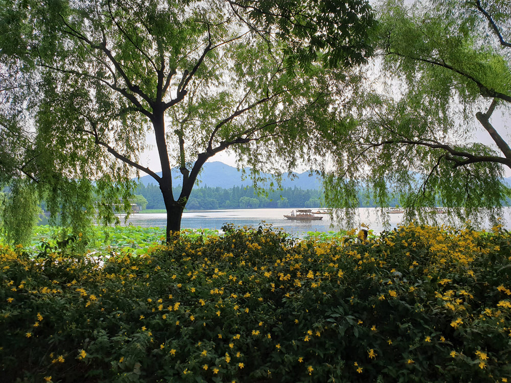 Fotografie: China, Jens Van Den Bergh, Deel 5 Hangzhou 
