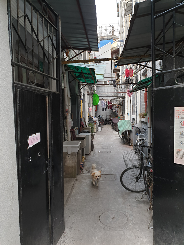 Fotografie: China, Jens Van Den Bergh, Deel 6 Shanghai & watersteden