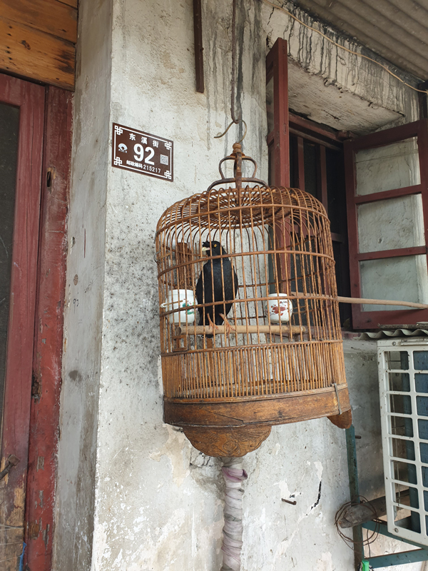 Fotografie: China, Jens Van Den Bergh, Deel 6 Shanghai & watersteden