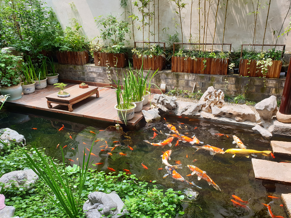 Fotografie: China, Jens Van Den Bergh, Deel 6 Shanghai & watersteden