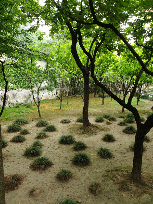 Fotografie: China, Jens Van Den Bergh, Deel 6 Shanghai & watersteden