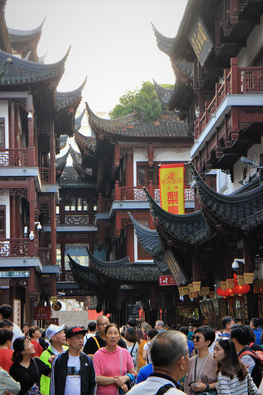 Fotografie: China, Jens Van Den Bergh, Deel 6 Shanghai & watersteden