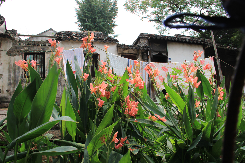 Fotografie: China, Jens Van Den Bergh, Deel 6 Shanghai & watersteden