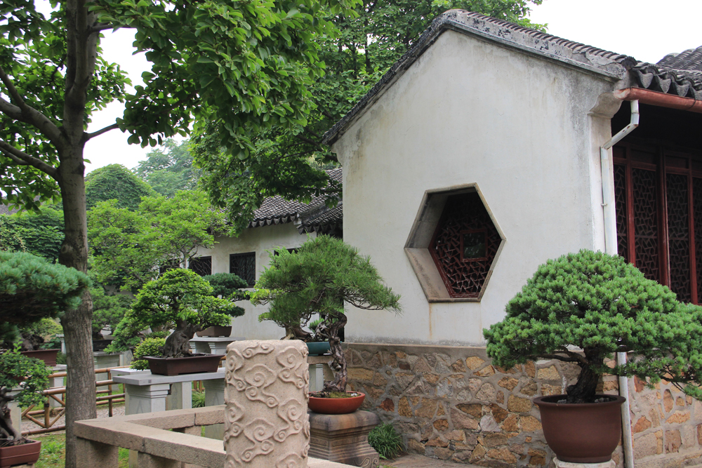 Fotografie: China, Jens Van Den Bergh, Deel 6 Shanghai & watersteden
