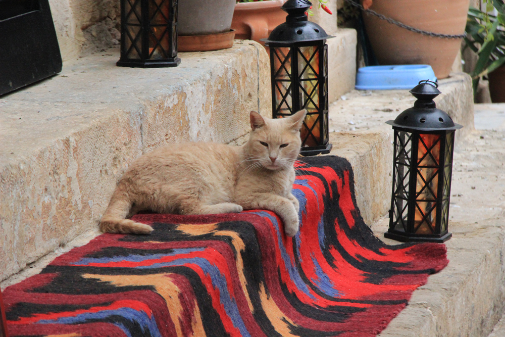 Photography, Greece, by Kens Van Den Bergh