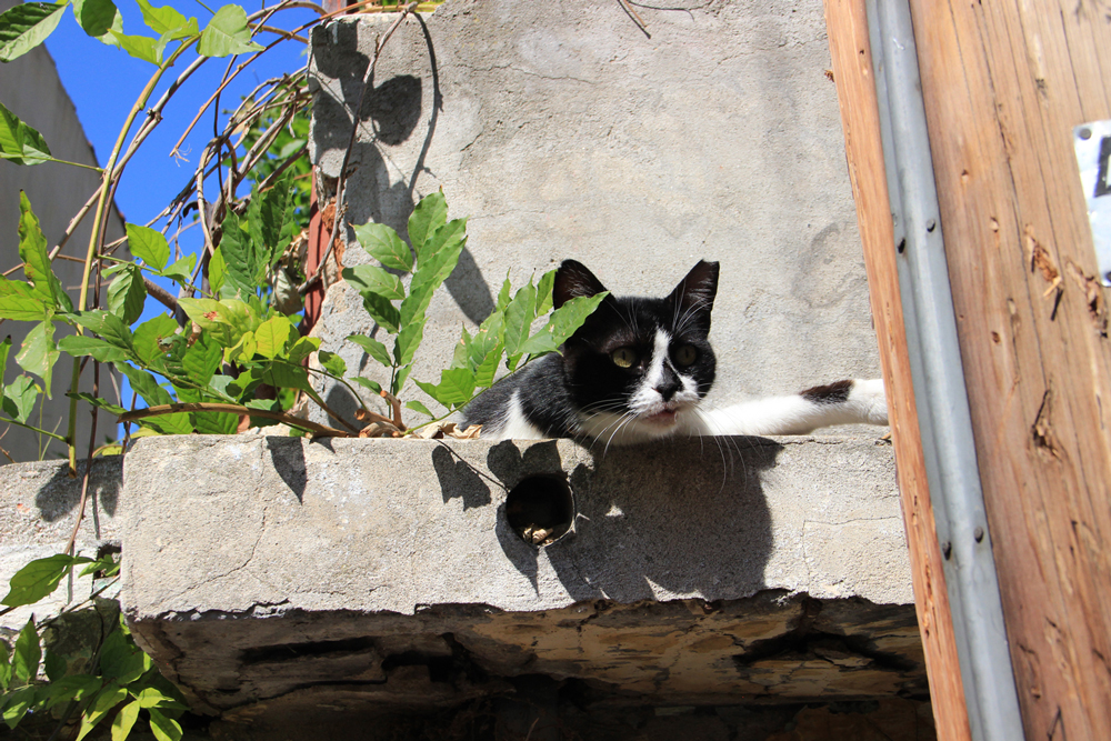 Photography, Greece, by Kens Van Den Bergh