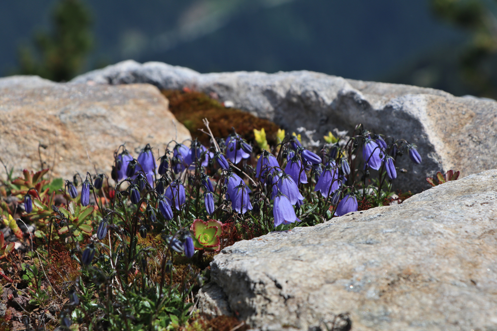 Johan Framhout, Photography, Tirol, on art7d-dot-be