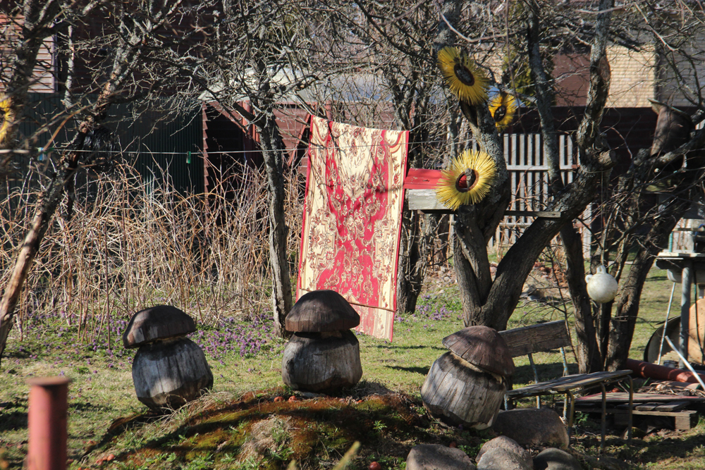 Foto's van Jens Van Den Bergh, Sint-Petersburg & omstreken in de lente