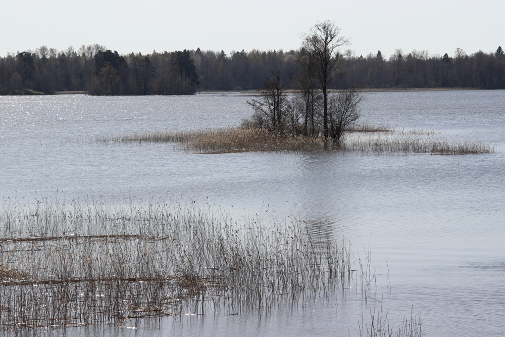 Foto's van Jens Van Den Bergh, Sint-Petersburg & omstreken in de lente