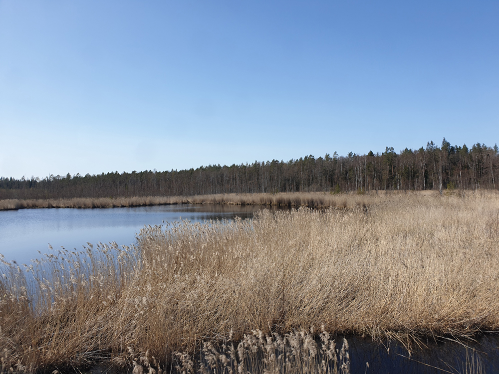 Foto's van Jens Van Den Bergh, Sint-Petersburg & omstreken in de lente