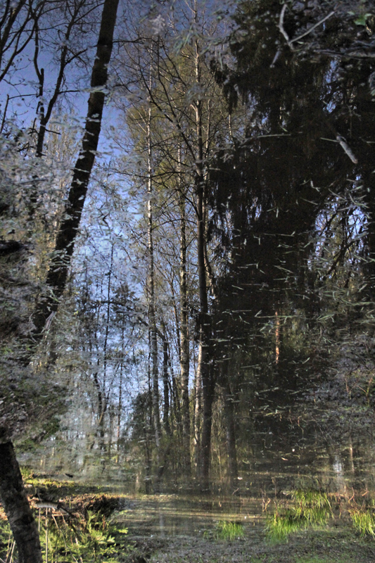 Foto's van Jens Van Den Bergh, Sint-Petersburg & omstreken in de lente