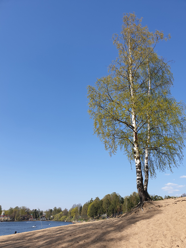 Foto's van Jens Van Den Bergh, Sint-Petersburg & omstreken in de lente