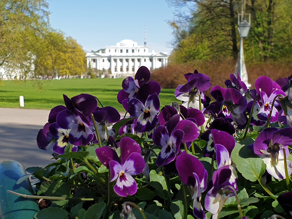 Foto's van Jens Van Den Bergh, Sint-Petersburg & omstreken in de lente