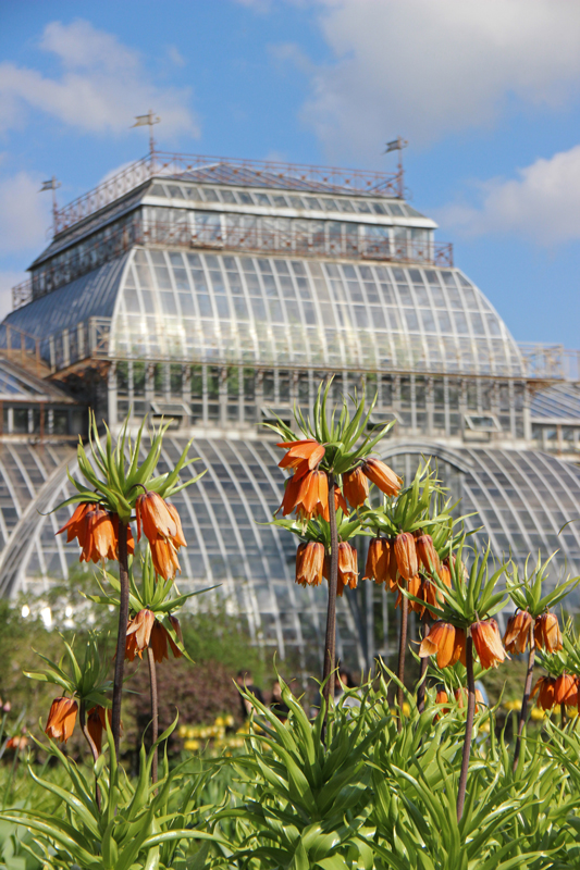 Foto's van Jens Van Den Bergh, Sint-Petersburg & omstreken in de lente