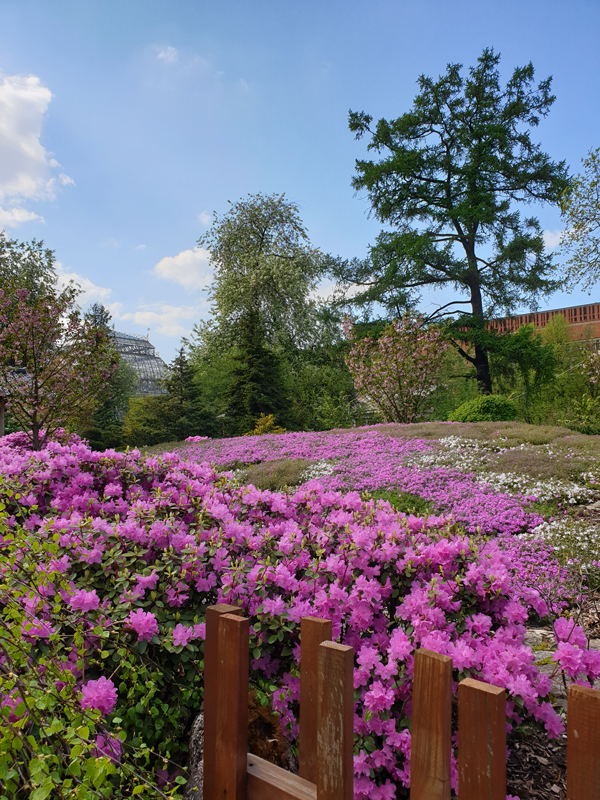 Foto's van Jens Van Den Bergh, Sint-Petersburg & omstreken in de lente