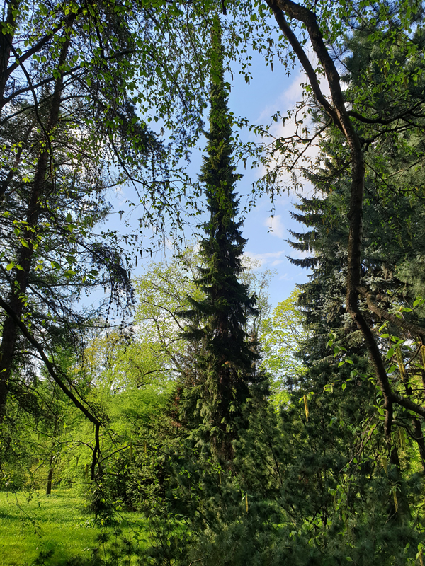 Foto's van Jens Van Den Bergh, Sint-Petersburg & omstreken in de lente