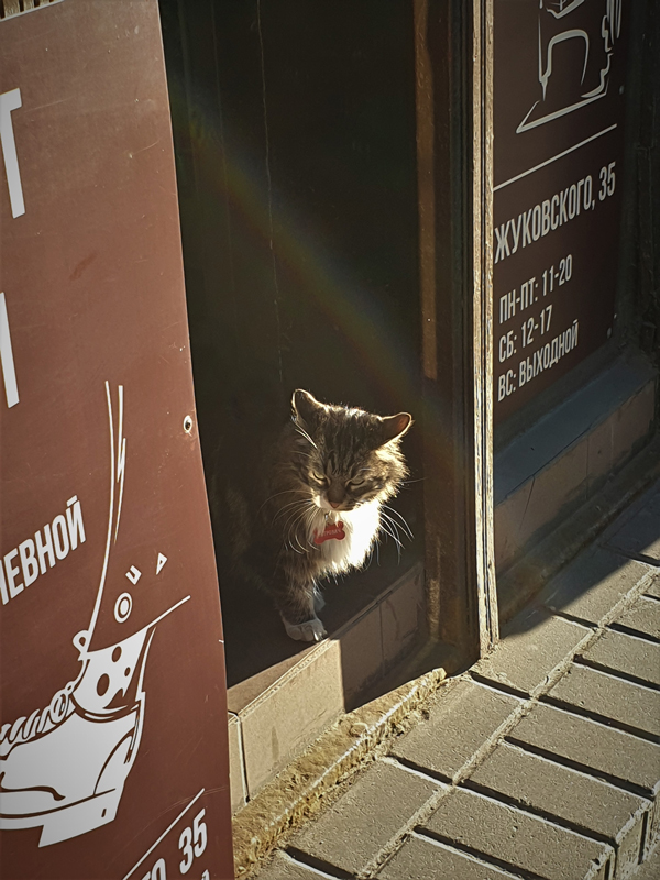 Foto's van Jens Van Den Bergh, Sint-Petersburg & omstreken in de lente