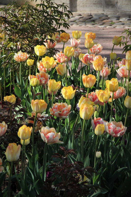 Foto's van Jens Van Den Bergh, Sint-Petersburg & omstreken in de lente