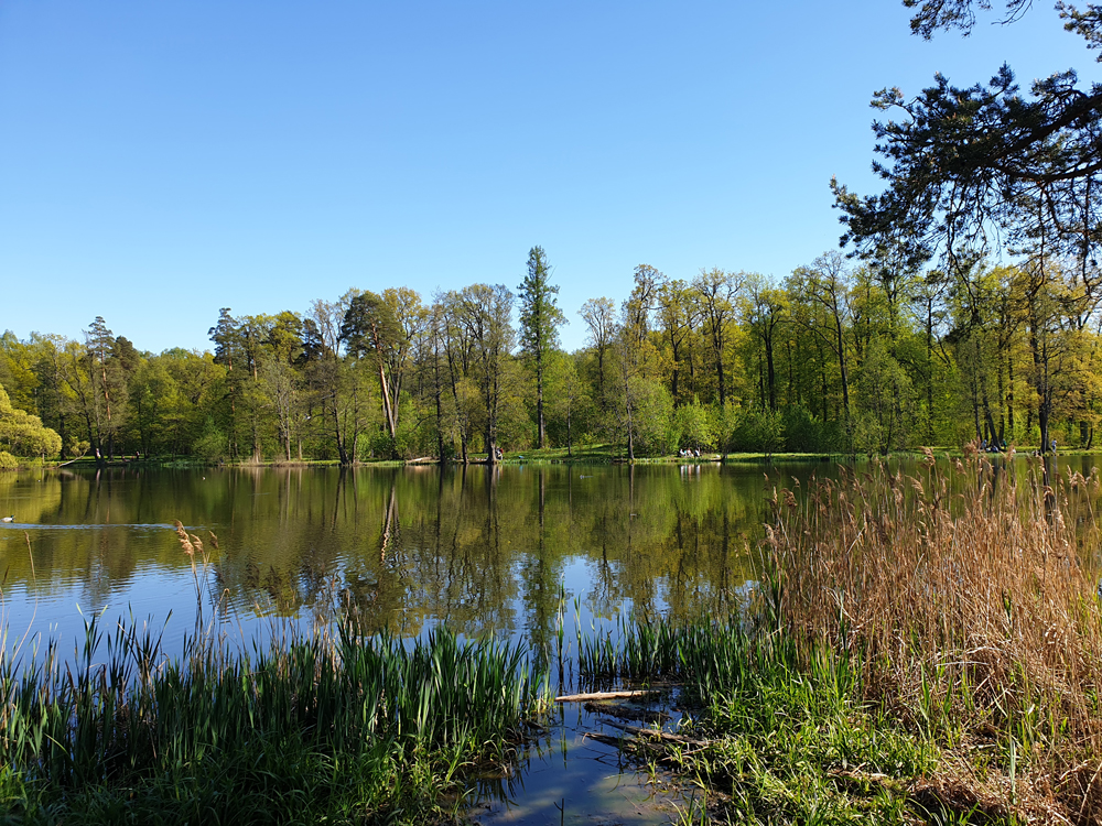 Foto's van Jens Van Den Bergh, Sint-Petersburg & omstreken in de lente