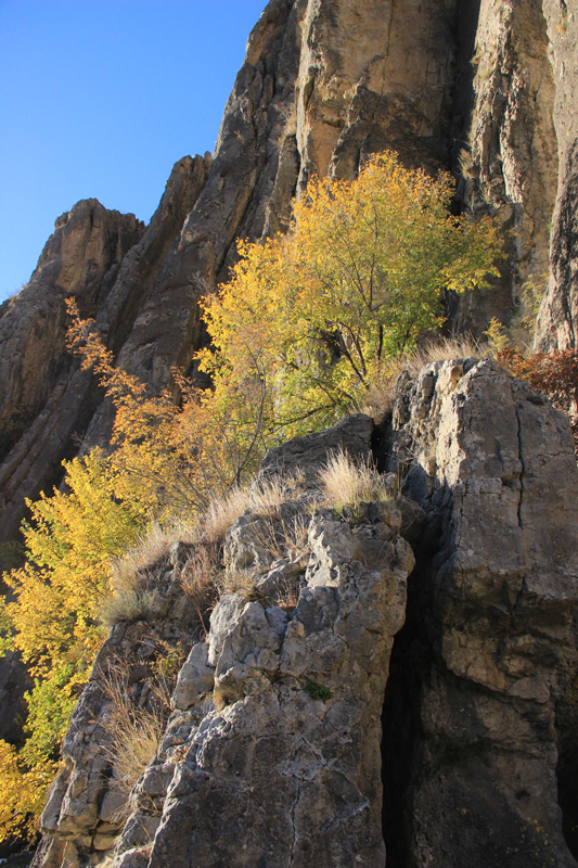 Jens van den Bergh, fotografie Dagestan