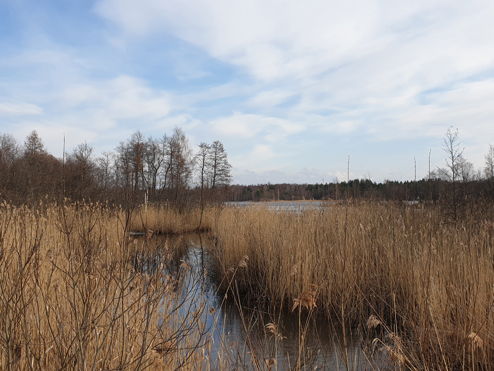 Fotografie Gouden Cirkel, Rusland, art7d be