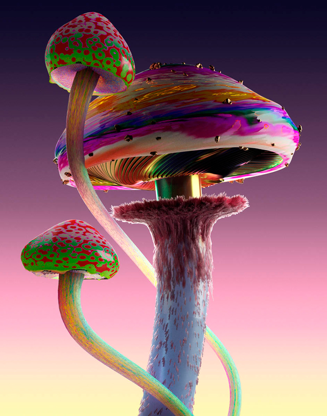 Jonathan Zawada