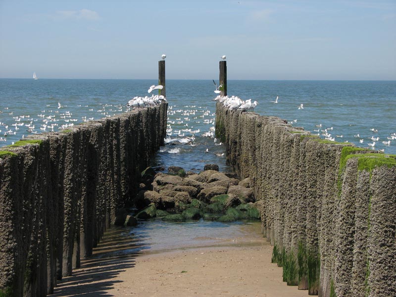 Foto's uit België en omstreken, Kust, Veere