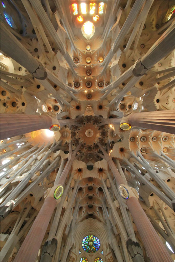cosmicenema, Sagrada Familia Ceiling