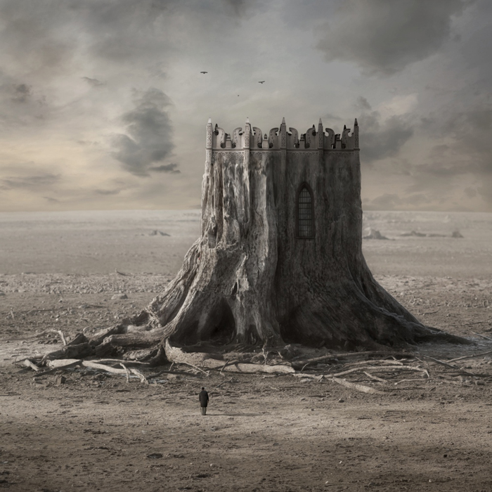 Dariusz Klimczak, Wooden Castle