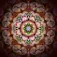 mandala 2013 A11 thumb