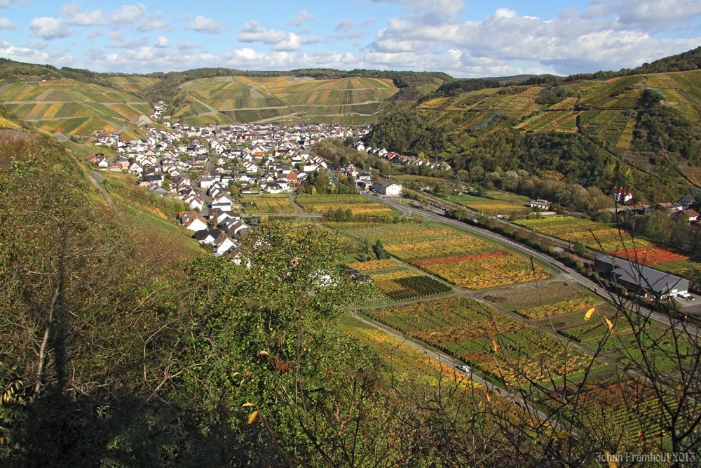 Rotweinwanderung