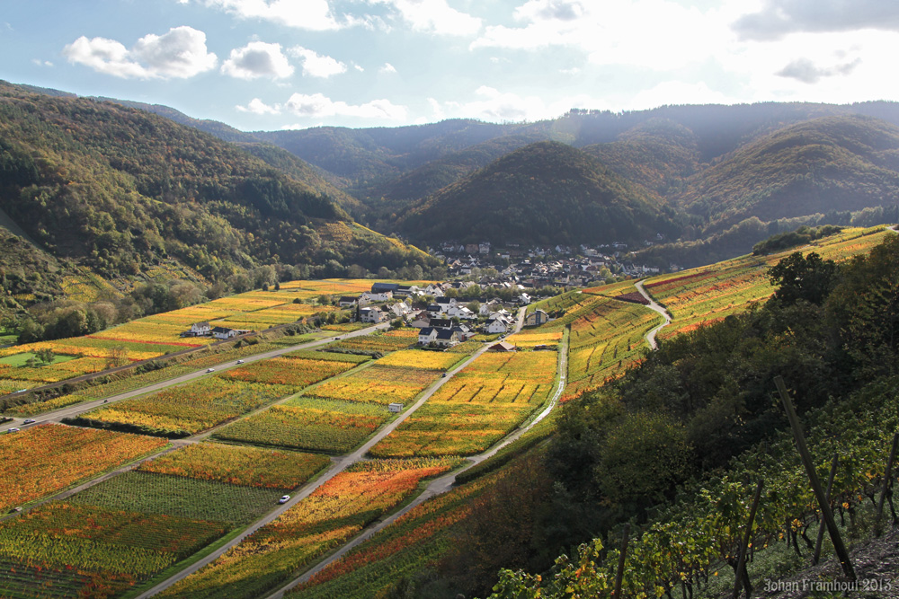 Rotweinwanderung