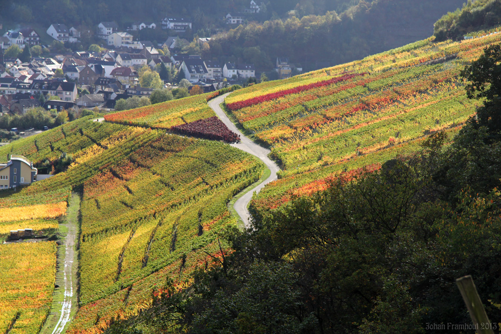 Rotweinwanderung