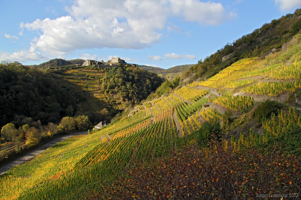 Rotweinwanderung