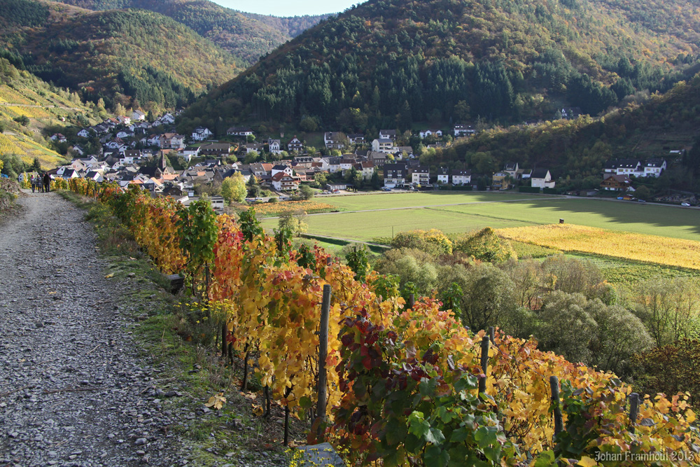 Rotweinwanderung